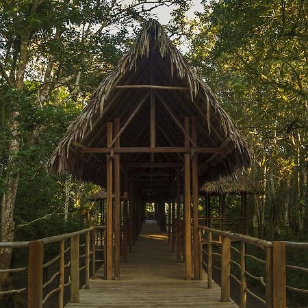 Treehouse Lodge Yucuruche Dış mekan fotoğraf