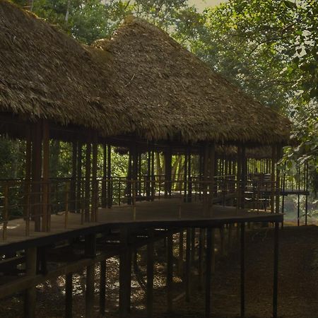 Treehouse Lodge Yucuruche Dış mekan fotoğraf