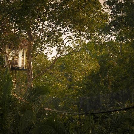 Treehouse Lodge Yucuruche Dış mekan fotoğraf