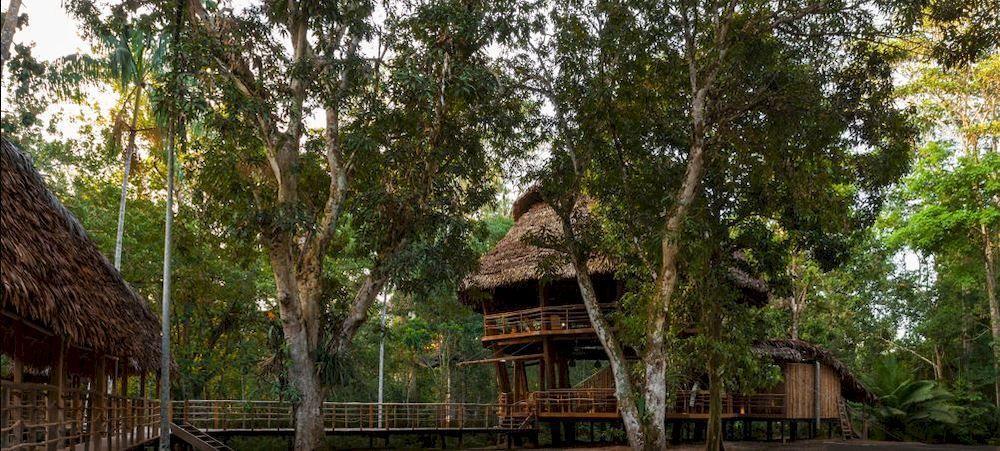 Treehouse Lodge Yucuruche Dış mekan fotoğraf