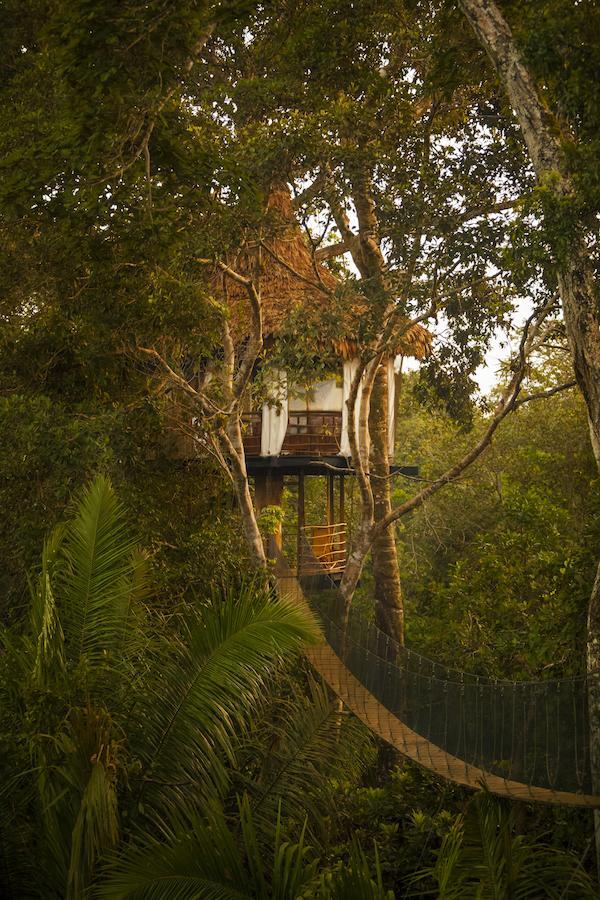 Treehouse Lodge Yucuruche Dış mekan fotoğraf