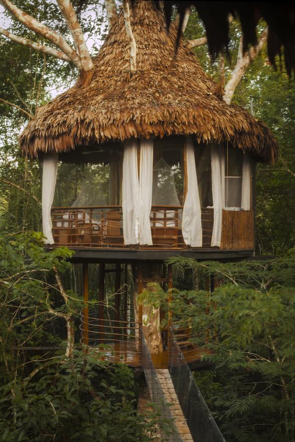 Treehouse Lodge Yucuruche Dış mekan fotoğraf