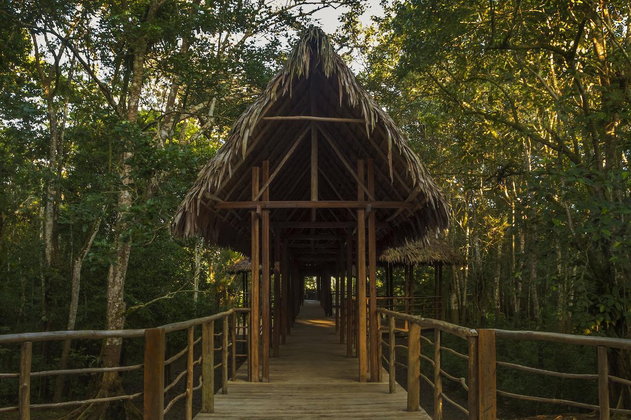 Treehouse Lodge Yucuruche Dış mekan fotoğraf