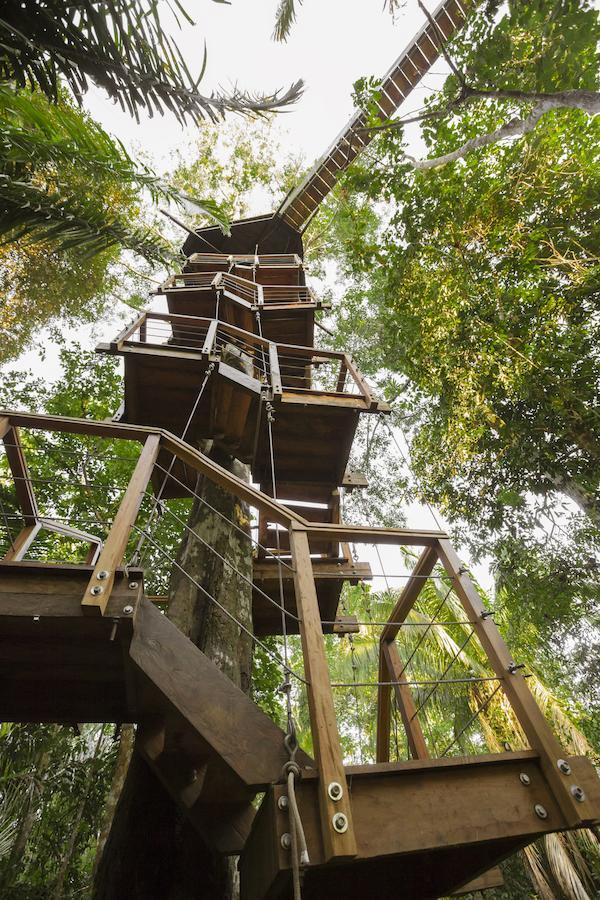 Treehouse Lodge Yucuruche Oda fotoğraf
