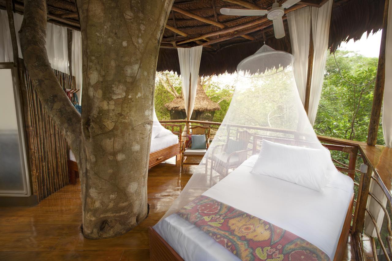 Treehouse Lodge Yucuruche Oda fotoğraf