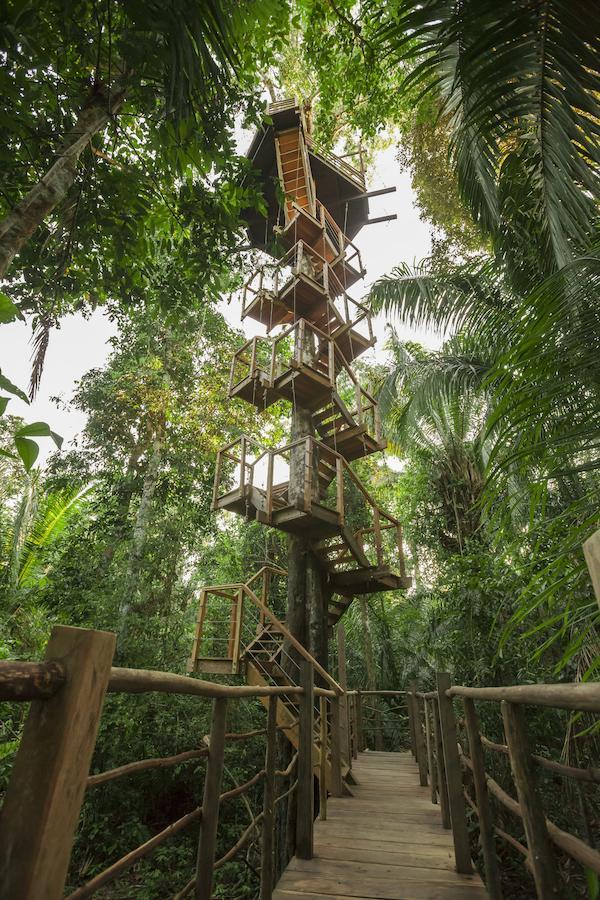 Treehouse Lodge Yucuruche Dış mekan fotoğraf