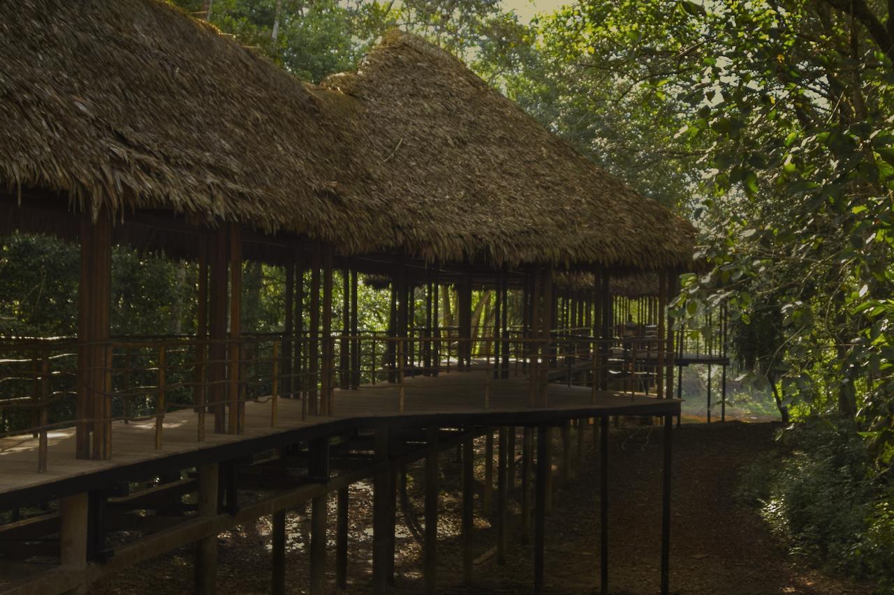 Treehouse Lodge Yucuruche Dış mekan fotoğraf