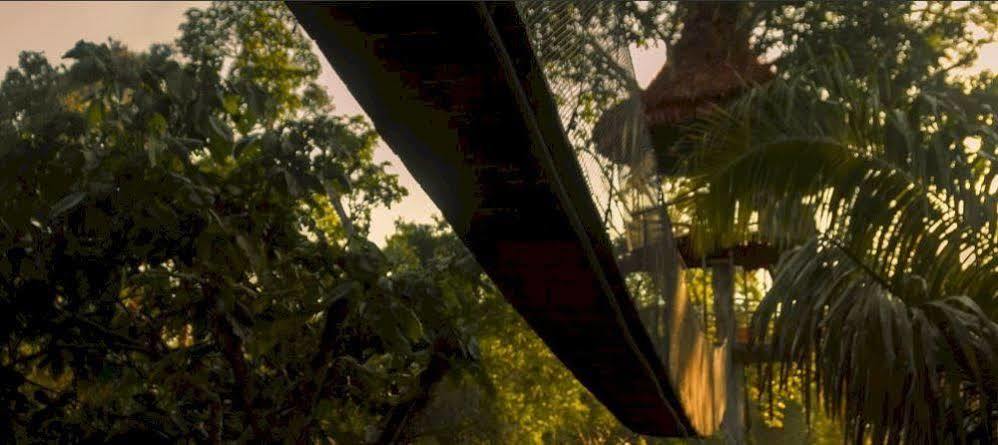 Treehouse Lodge Yucuruche Dış mekan fotoğraf