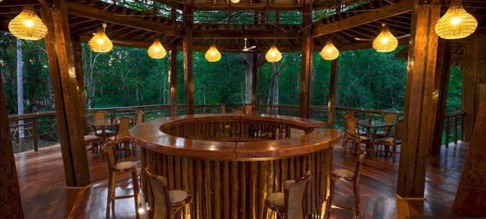 Treehouse Lodge Yucuruche Dış mekan fotoğraf