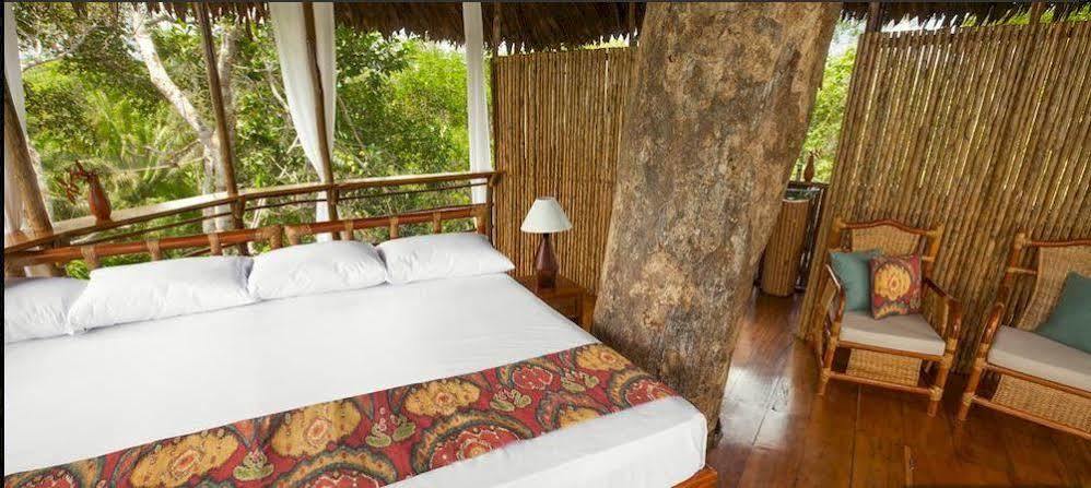Treehouse Lodge Yucuruche Dış mekan fotoğraf