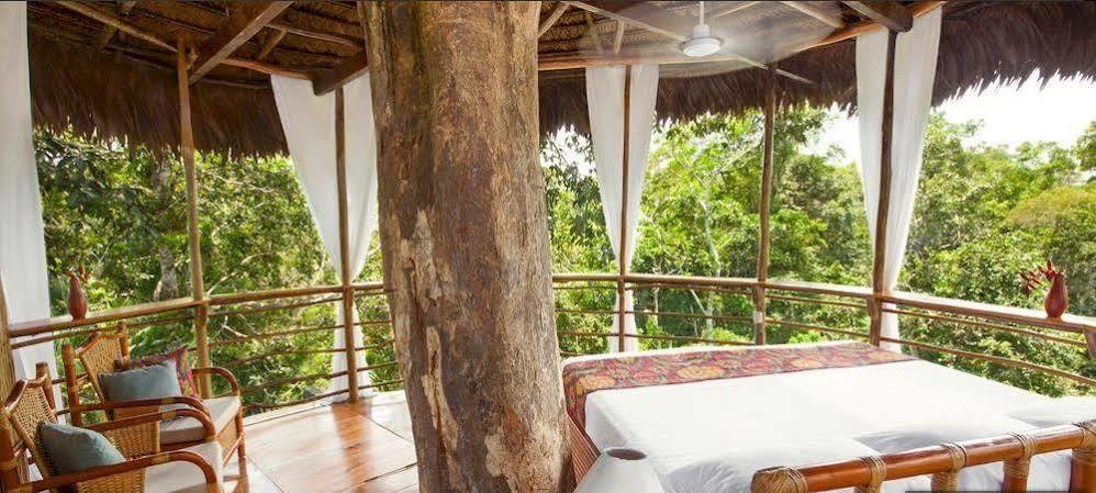 Treehouse Lodge Yucuruche Dış mekan fotoğraf