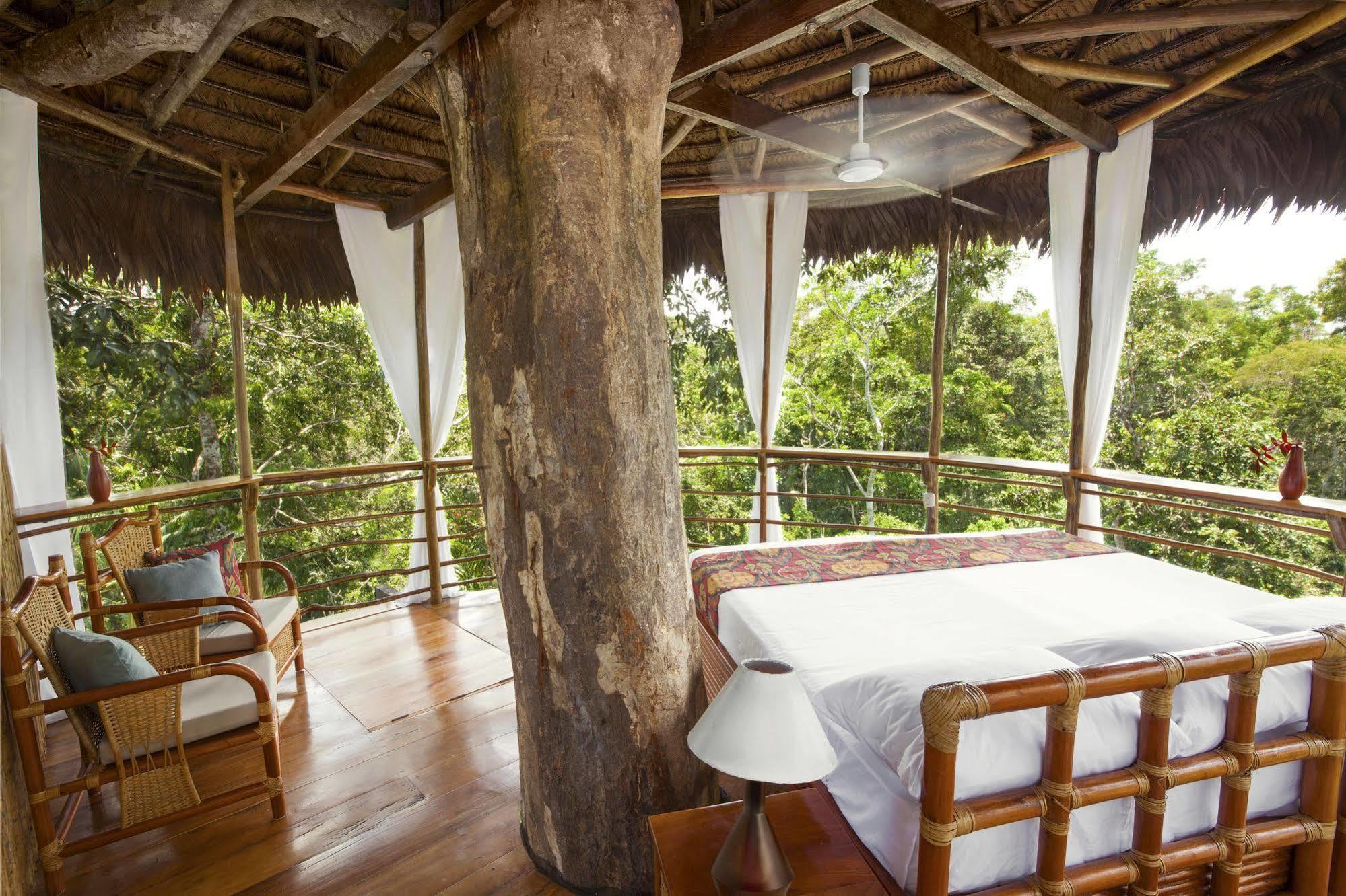 Treehouse Lodge Yucuruche Dış mekan fotoğraf