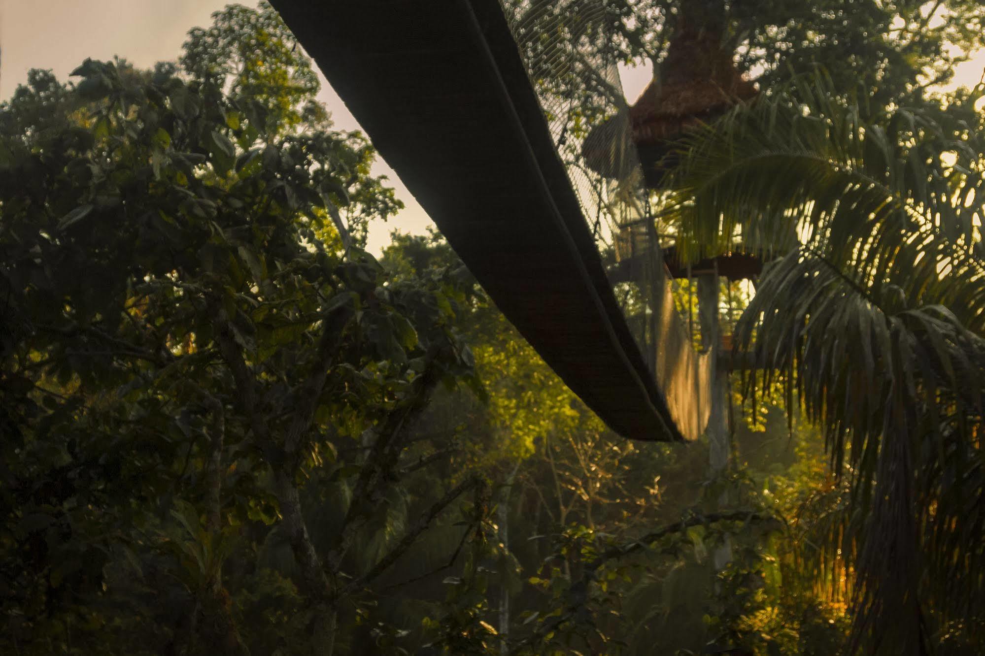 Treehouse Lodge Yucuruche Dış mekan fotoğraf